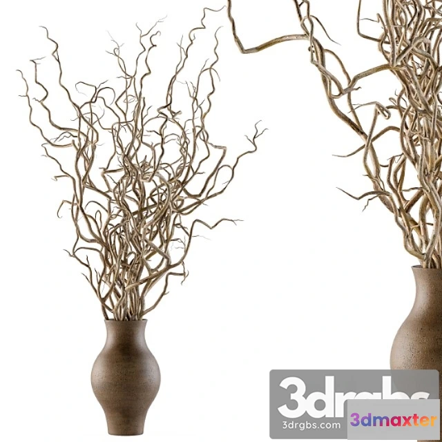 1059364 - Bouquet set 19 - dried twisted branches
