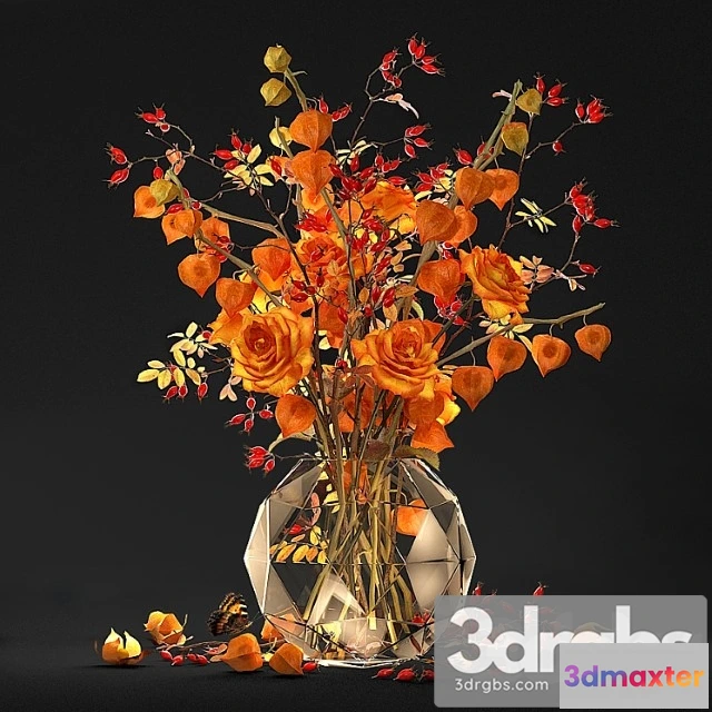 1059388 - Bouquet with physalis