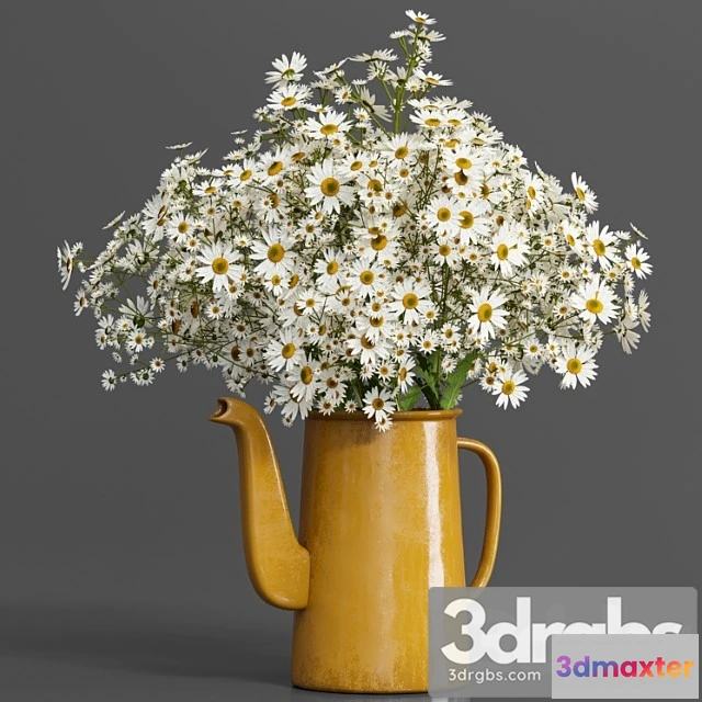 1059424 - Bouquet01-chamomile