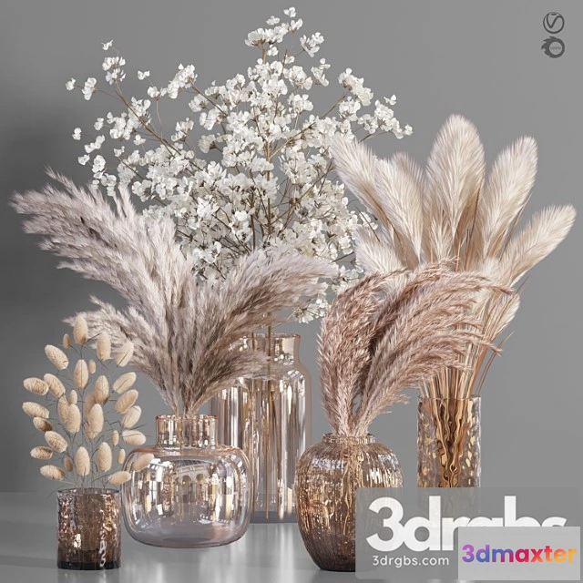 1059426 - Bouquet03-pampass