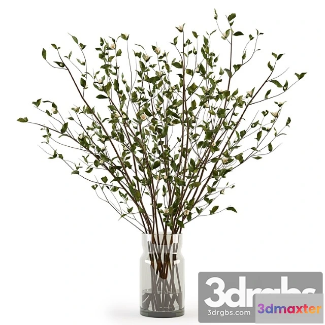 1059444 - Branches in a vase 009 - No.2