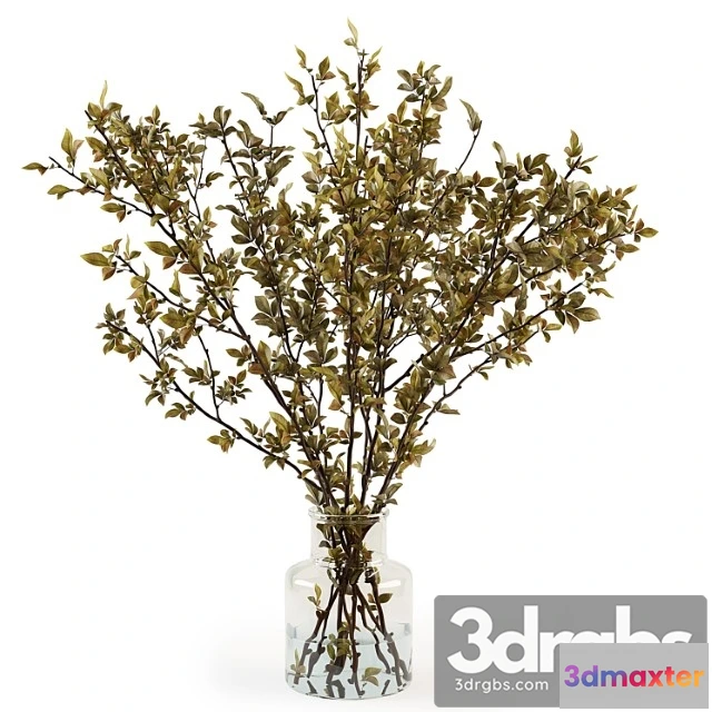 1059446 - Branches in a vase 013