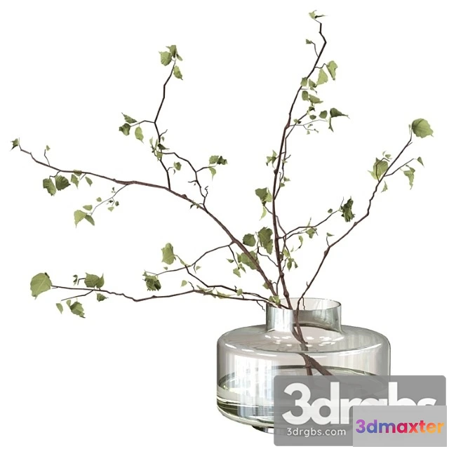 1059448 - Branches in a vase - No.2