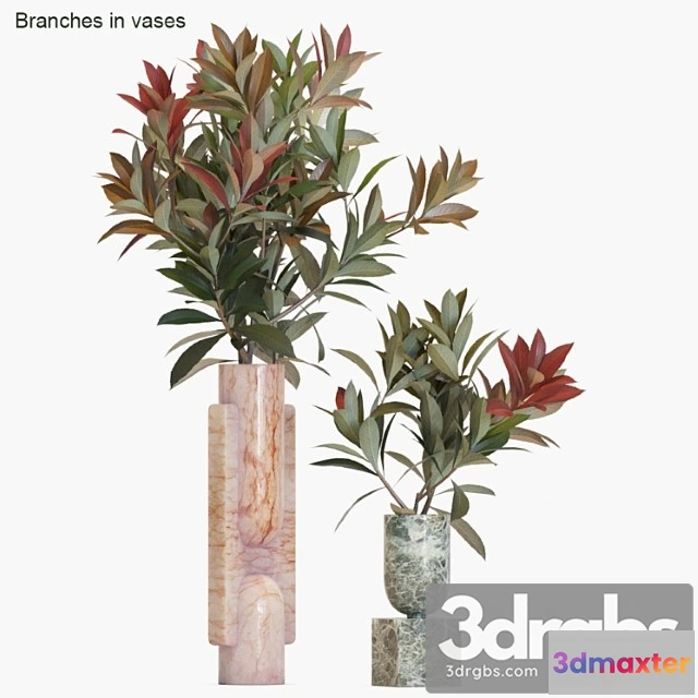 1059454 - Branches in vases _1