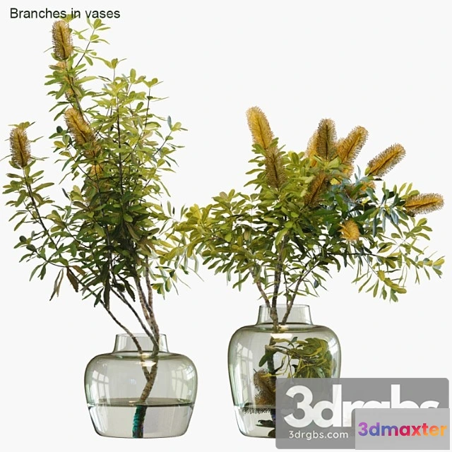 1059456 - Branches in vases _123