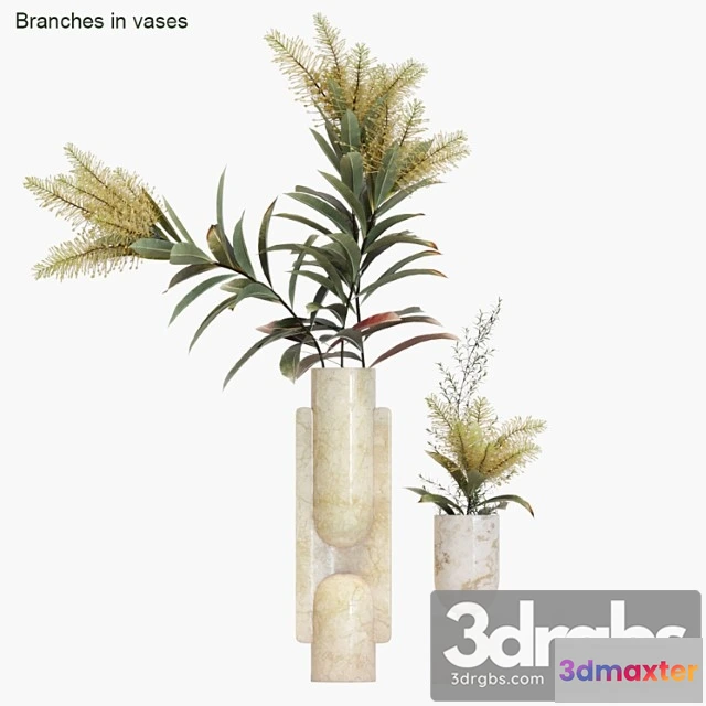 1059462 - Branches in vases 15
