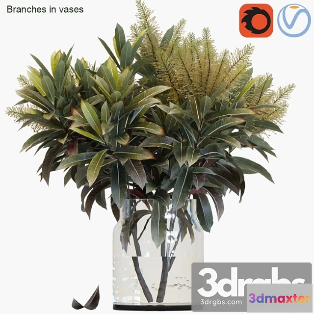1059464 - Branches in vases 25