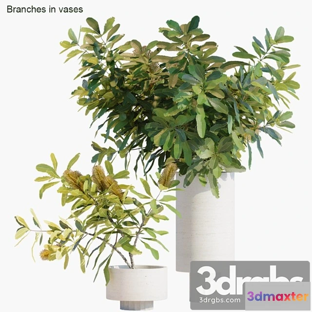 1059466 - Branches in vases 29