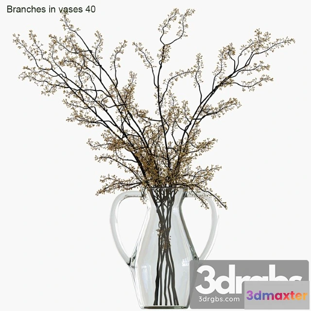 1059470 - Branches in vases 40
