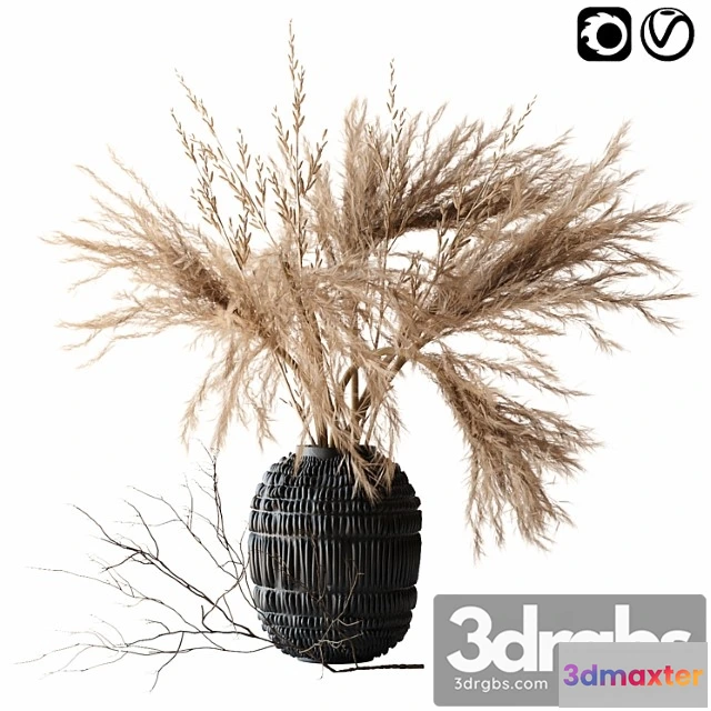 1059472 - Brown pampas