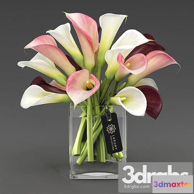 1059474 - Calla 04 1