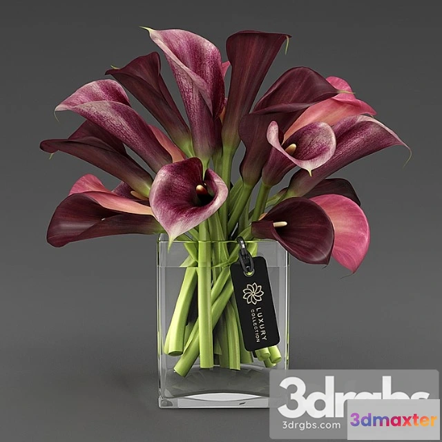 1059476 - Calla 04 4