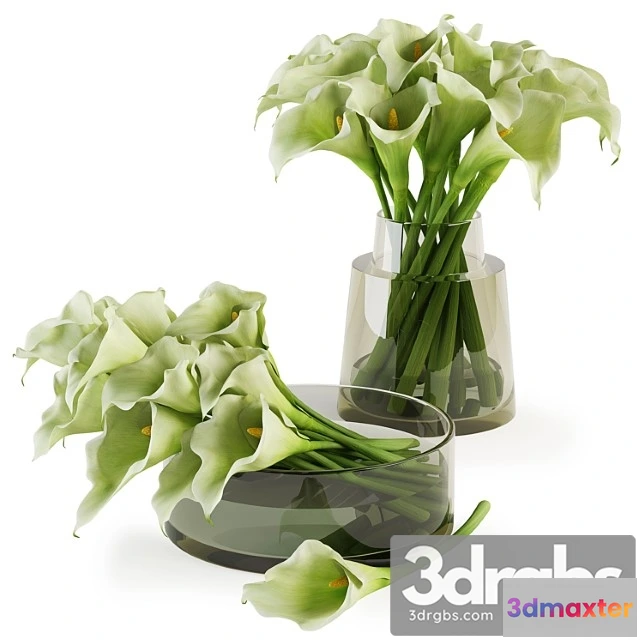 1059478 - Calla lilies bouquets