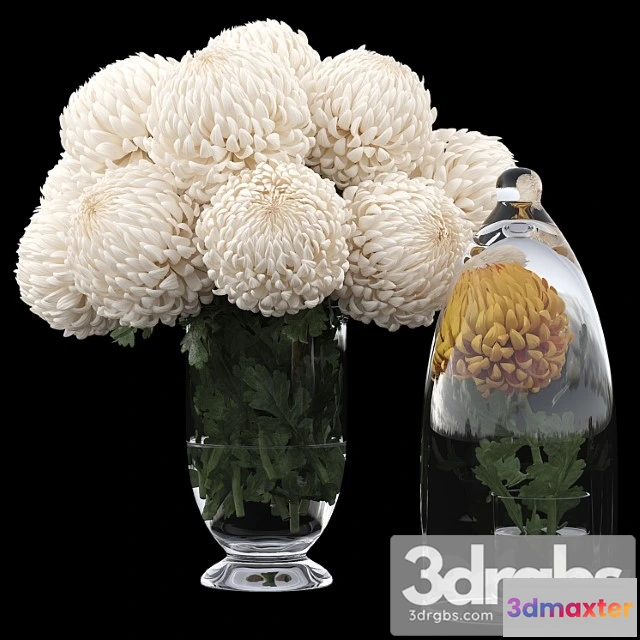 1059488 - Chrysanthemums 1