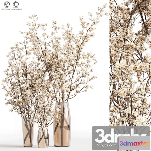 1059494 - Collaction Plants Bouquet 11