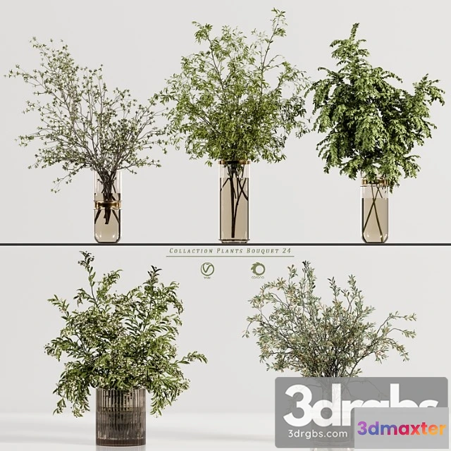 1059504 - Collaction plants bouquet 24