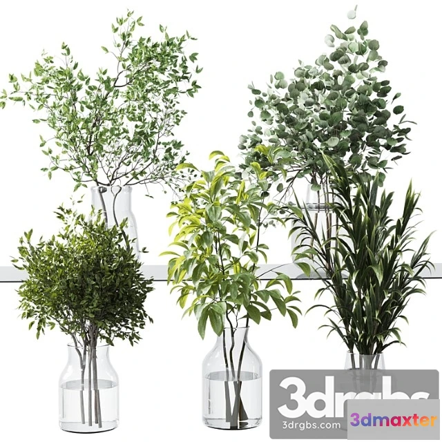 1059506 - Collection green plants bouquet indoor 12