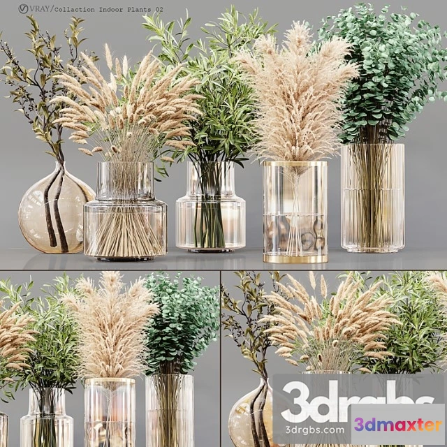 1059510 - Collection indoor plants 02 - No.2