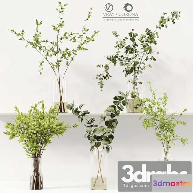 1059512 - Collection indoor plants 022 - No.2