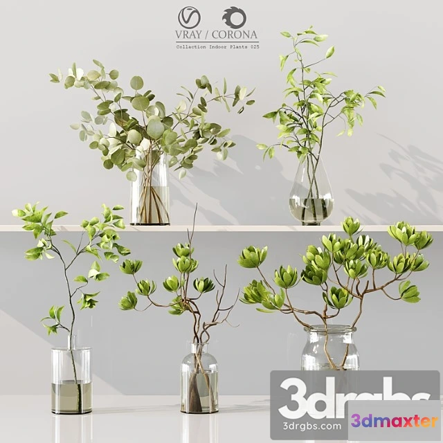 1059514 - Collection indoor plants 025