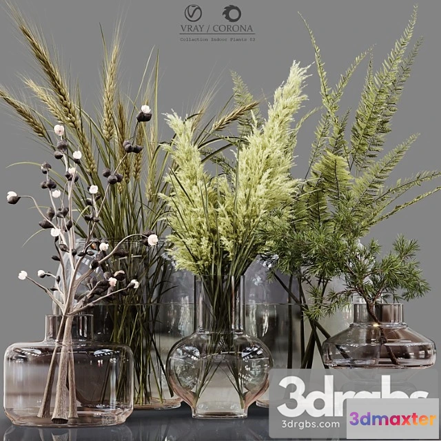 1059516 - Collection indoor plants 03