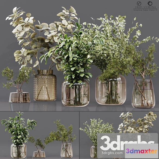 1059522 - Collection indoor plants 05