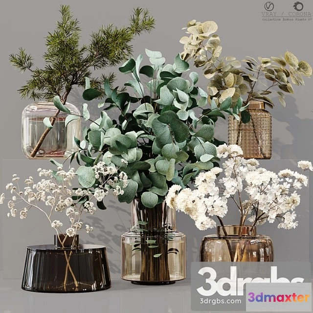 1059526 - Collection indoor plants 07