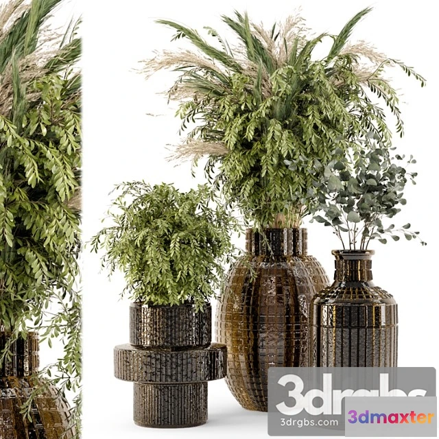 1059530 - Collection indoor plants in glass pots - set 701