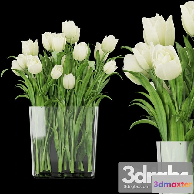 1059532 - Collection plant vol 119