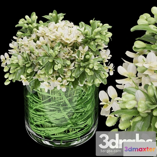 1059534 - Collection plant vol 123 - No.2