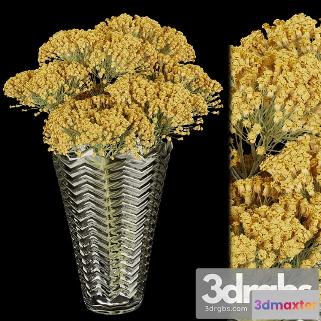 1059536 - Collection plant vol 160