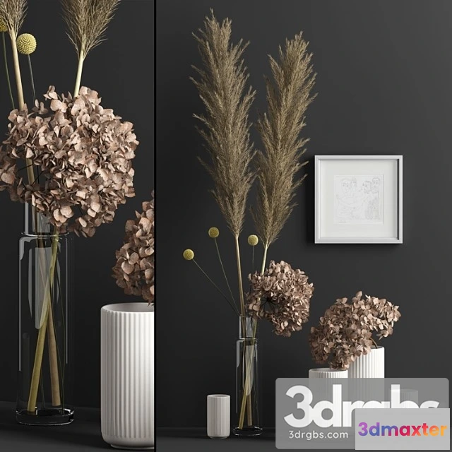 1059550 - Decor with dry flowers