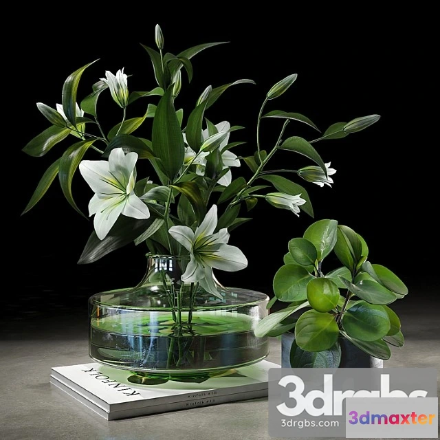 1059562 - Decorative set 005