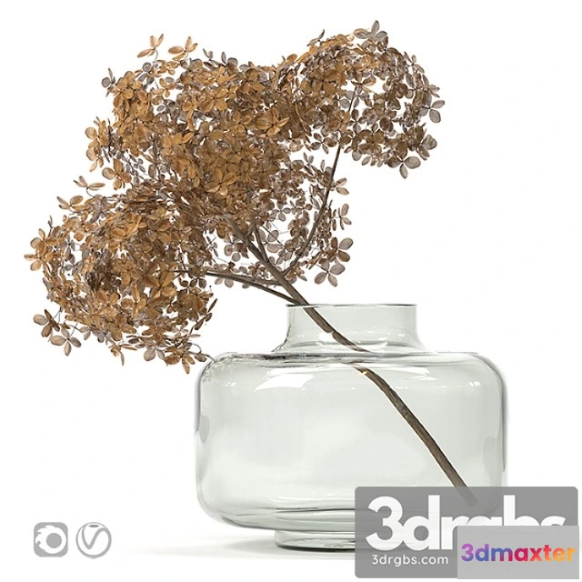 1059590 - Dried flower vase