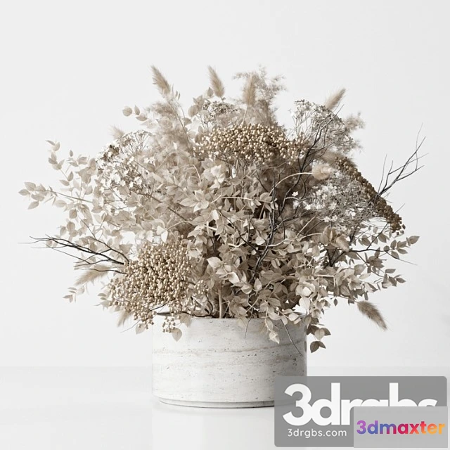 1059592 - Dried flower