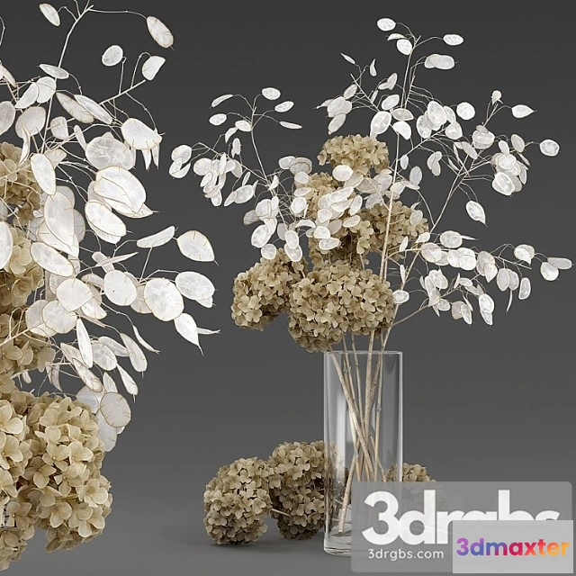 1059594 - Dried flowers