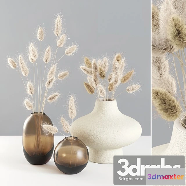 1059596 - Dried lagurus bouquets 01