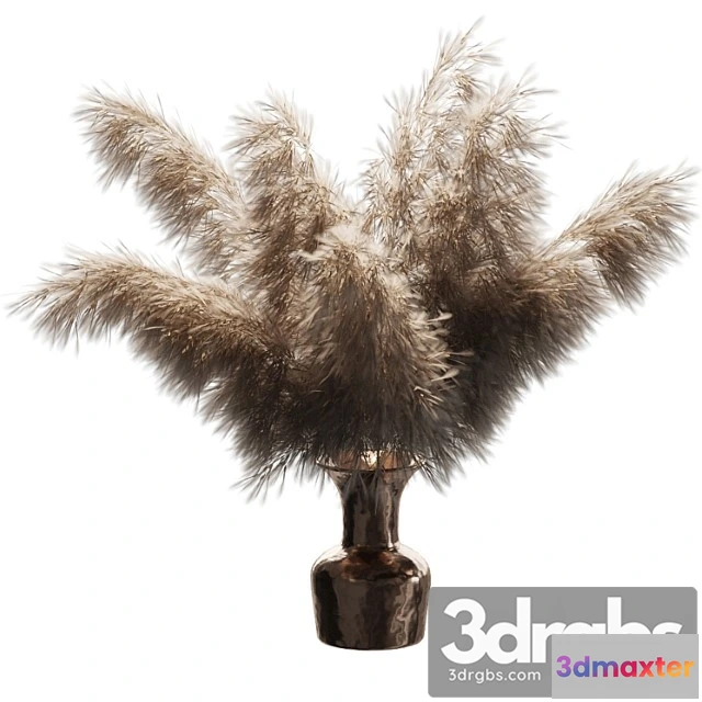 1059600 - Dried plant