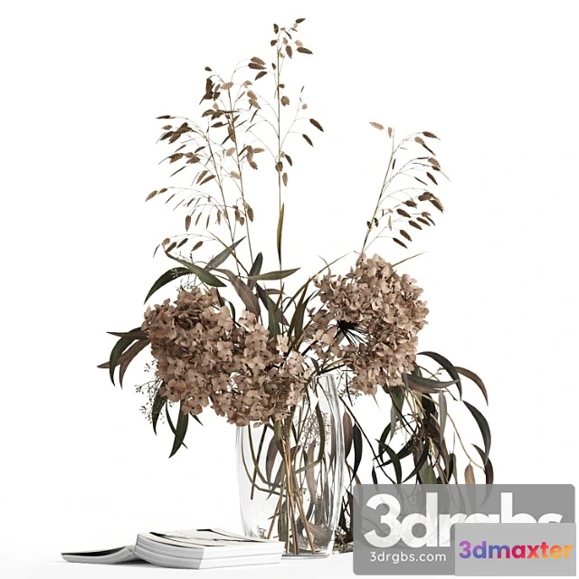 1059610 - Dry bouquet and book