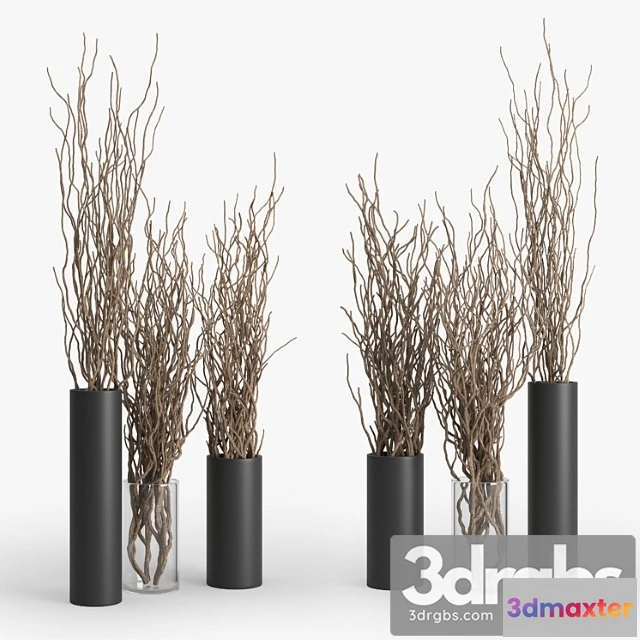 1059618 - Dry branch - No.2