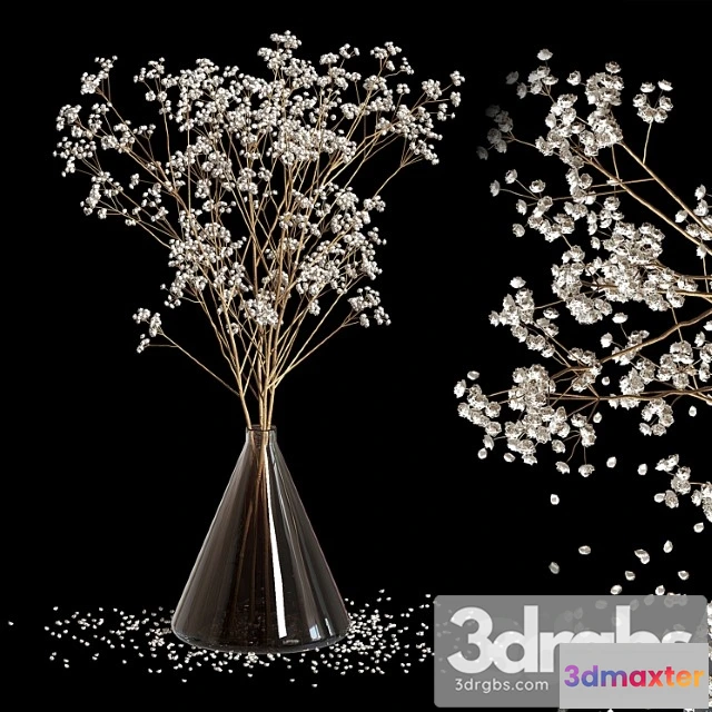 1059630 - Dry flowers 2