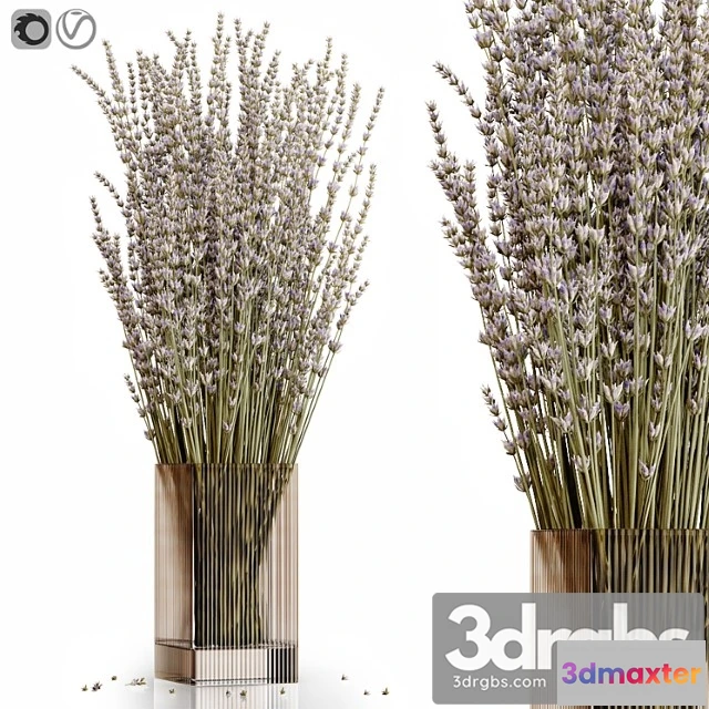 1059632 - Dry flowers 5 lavender