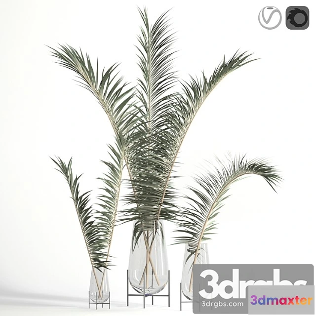 1059638 - Dry palm leaves in echasse vases