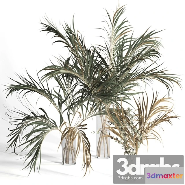 1059640 - Dry palm leaves in vases