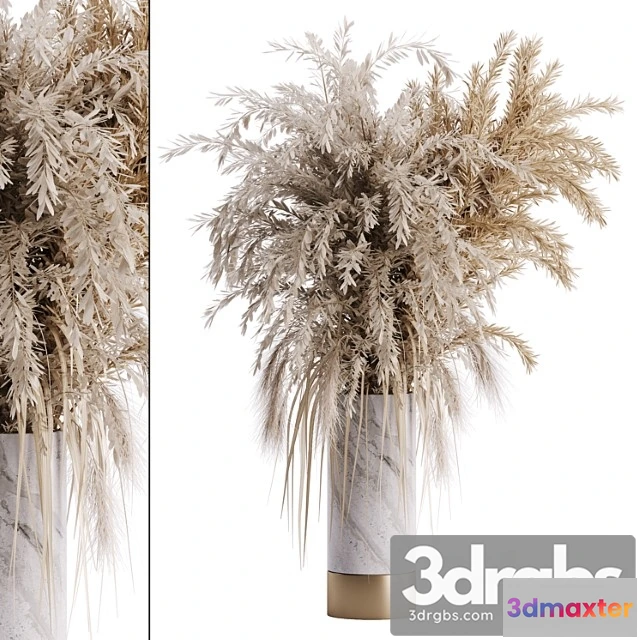 1059644 - Dry plant set 01