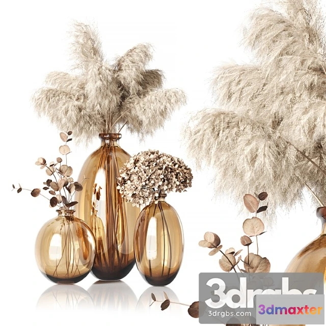 1059646 - Dry Plants 02_1