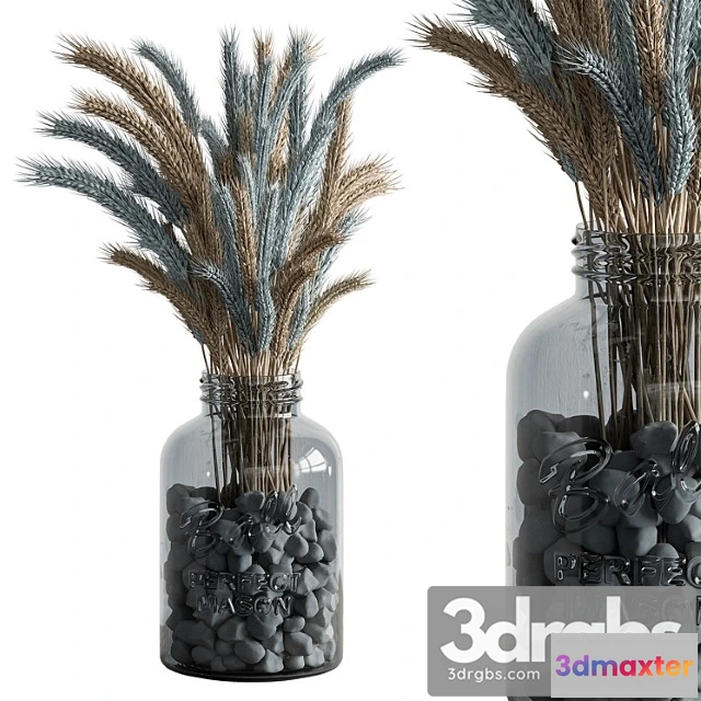 1059650 - Dry plants 101 - wheat