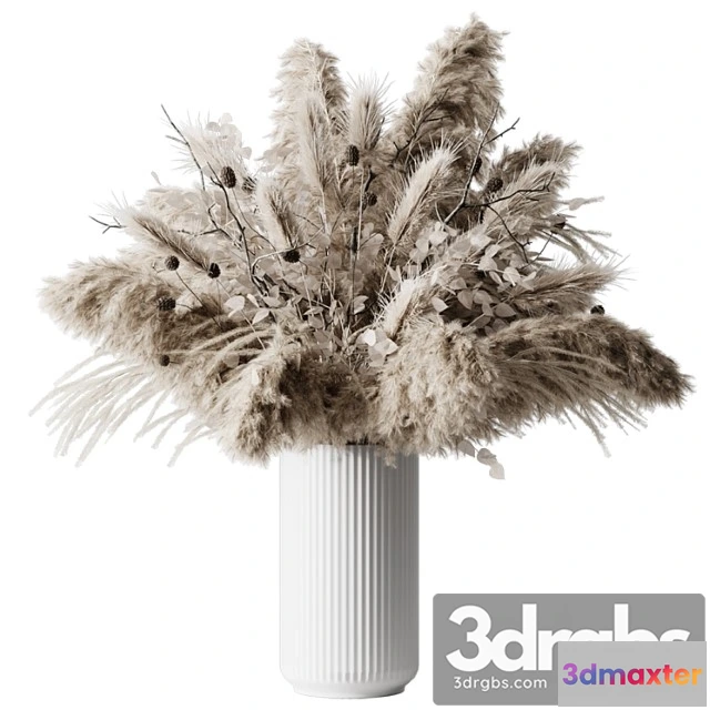 1059678 - Dry plants - No.2