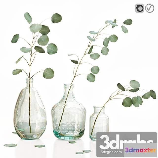 1059682 - Eucalyptus 2