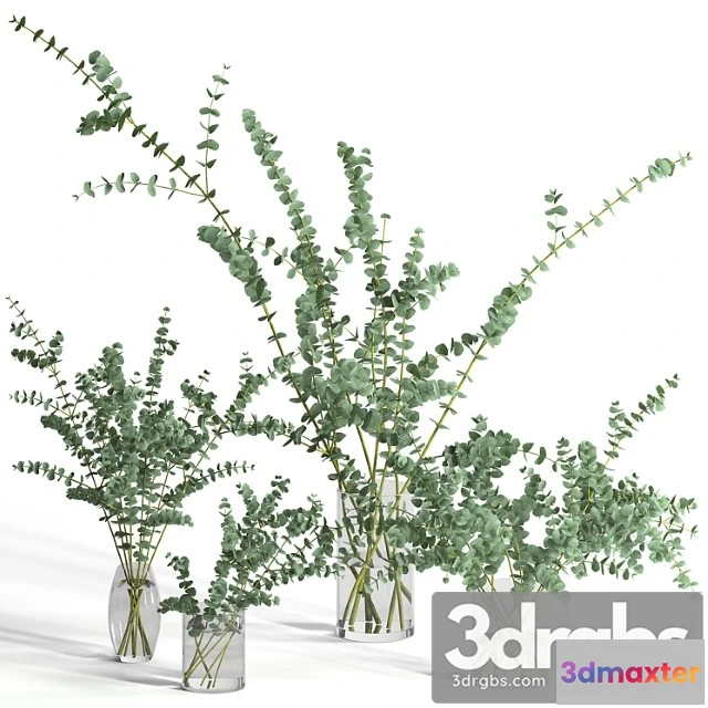 1059686 - Eucalyptus baby blue set